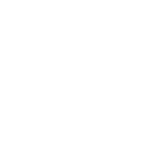 Demo Logo