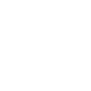 Demo Logo