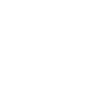 Demo Logo