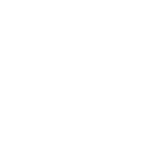 Demo Logo